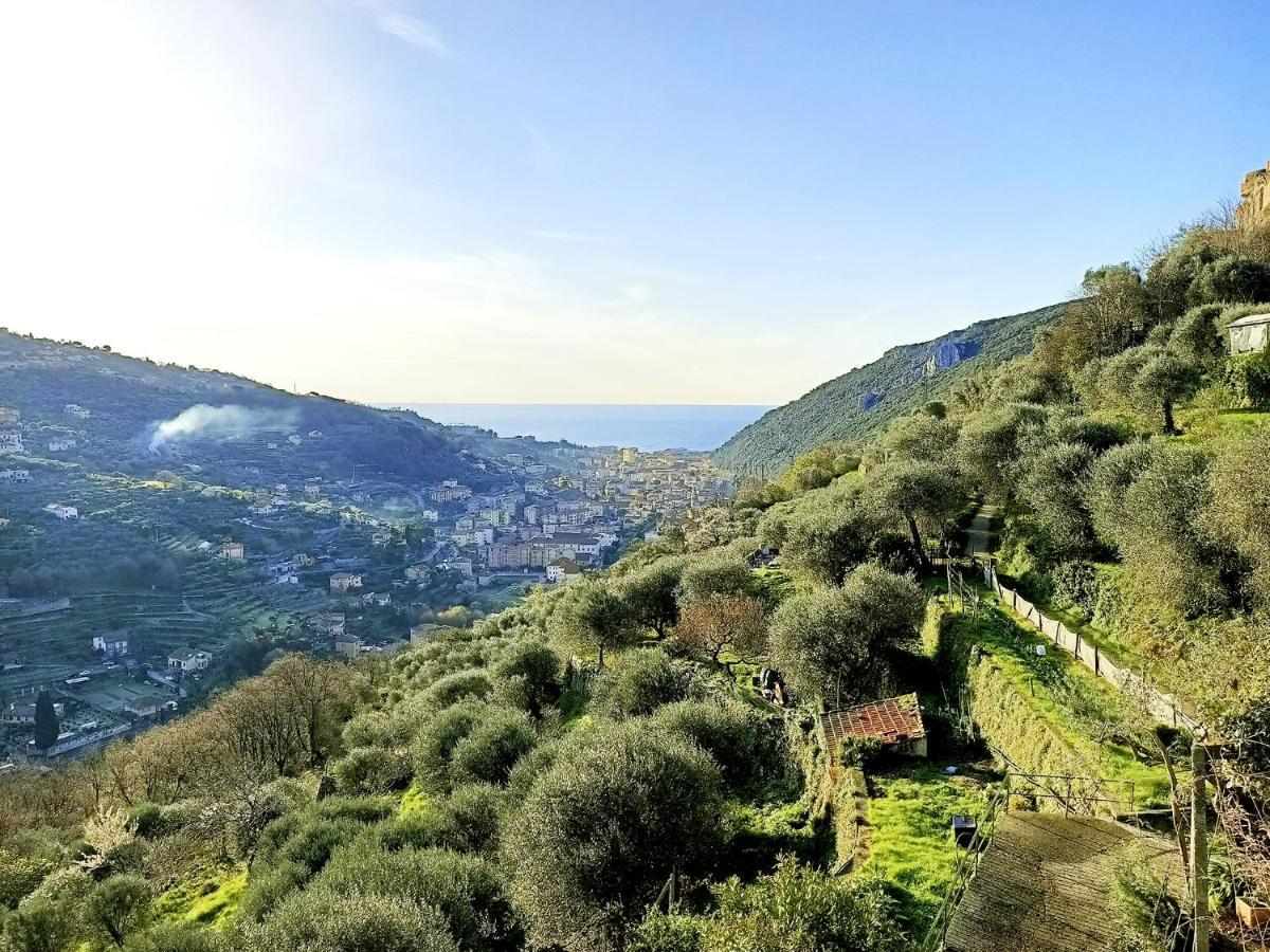 Ca Degli Ulivi Hotel Finale Ligure Buitenkant foto