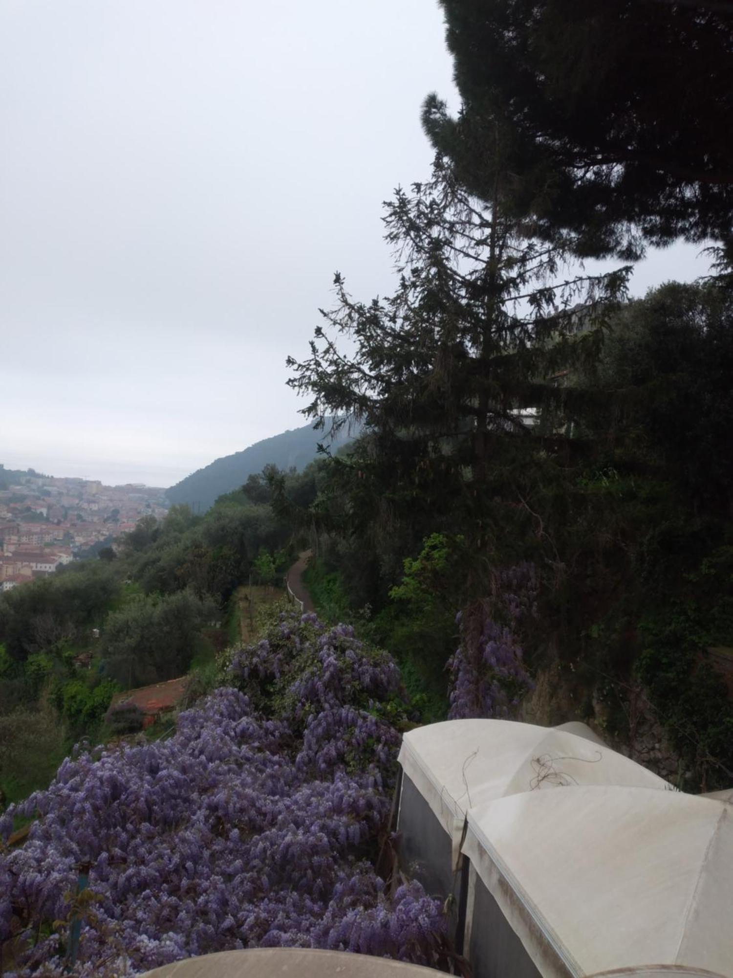 Ca Degli Ulivi Hotel Finale Ligure Buitenkant foto